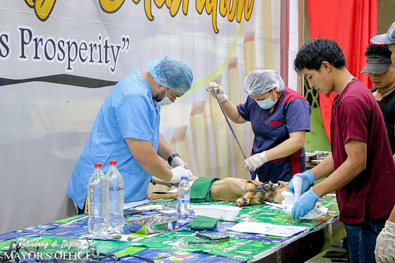 109 PETS SERVICED DURING ITOGON’S 1ST FARMERS AND FIRSHERFOLKS MONTH CELEBRATION